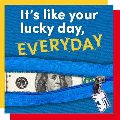 042026_LionsShare_Auto_Refi_Digital_LPGraphic