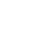 Lion icon